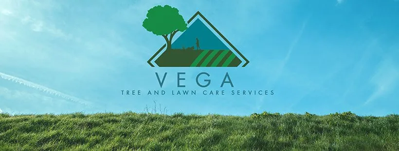 Affordable landscaping services in Pawtucket, RI - Vega Tree and Lawn Care