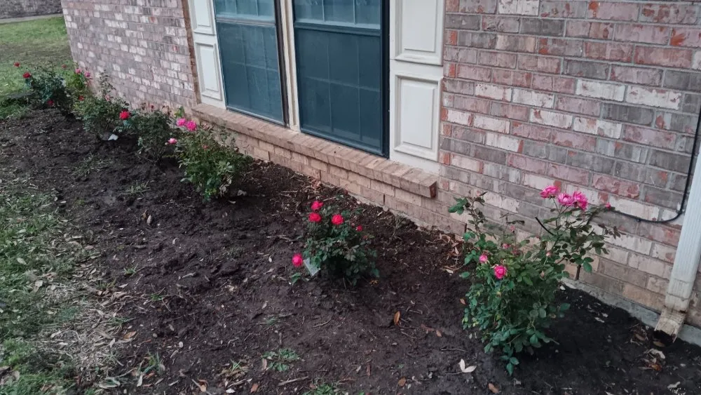 Custom outdoor landscaping experts serving Edgecliff Village, TX - Veganate Lawn Service