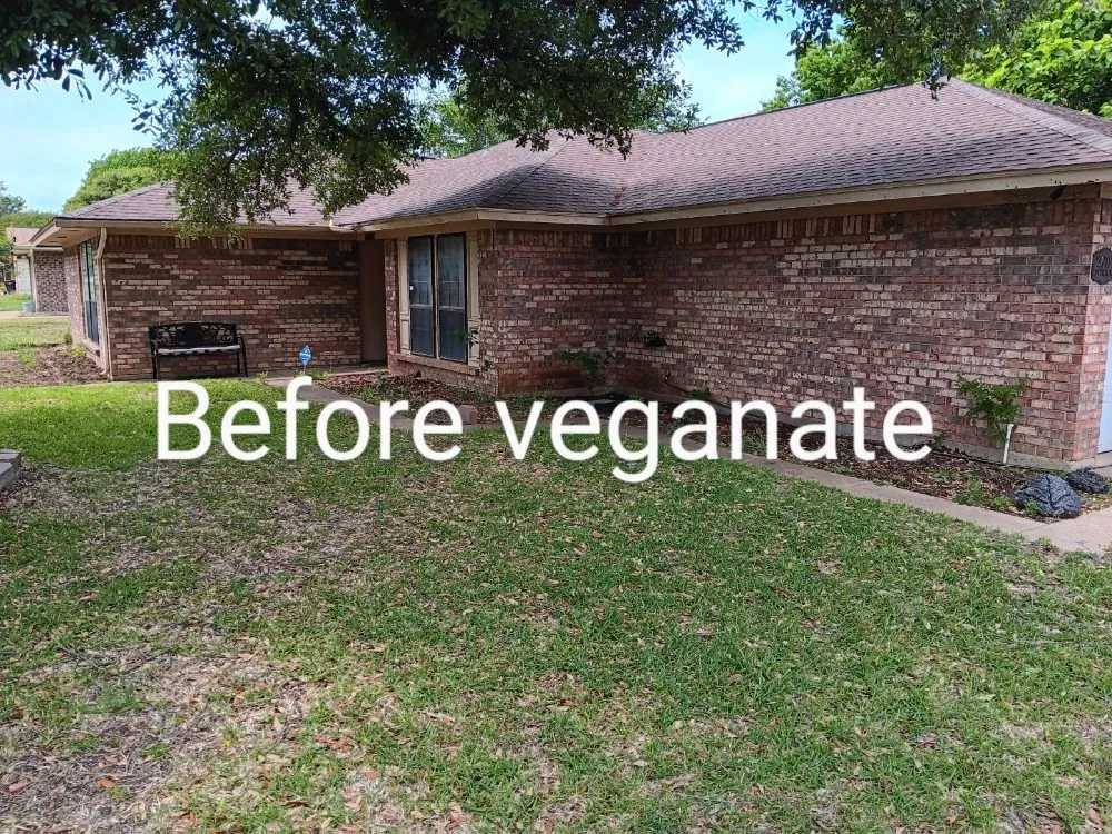 Reliable yard maintenance in Edgecliff Village, TX - Veganate Lawn Service