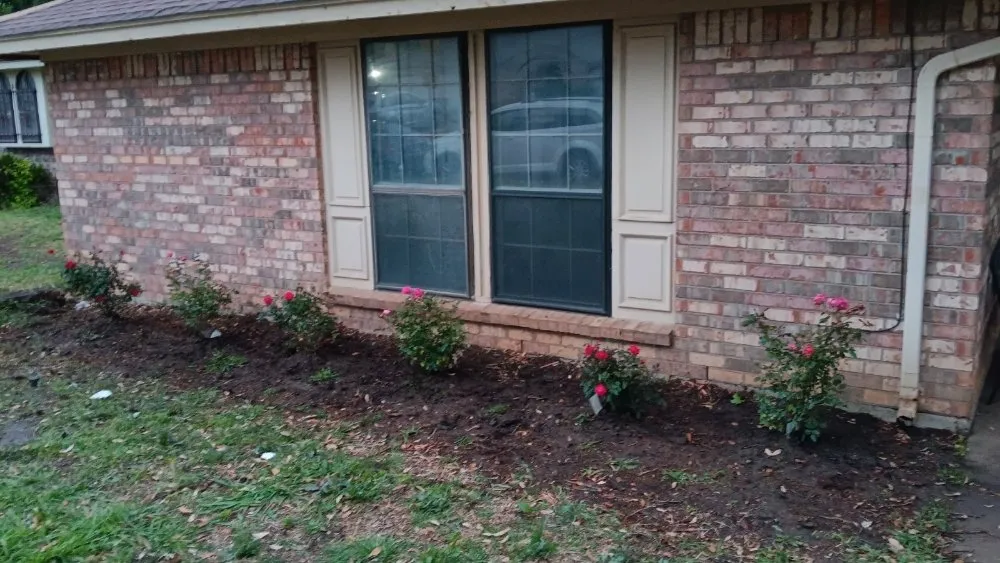 Affordable yard cleanup service for outdoor upgrades in Edgecliff Village, TX by Veganate Lawn Service