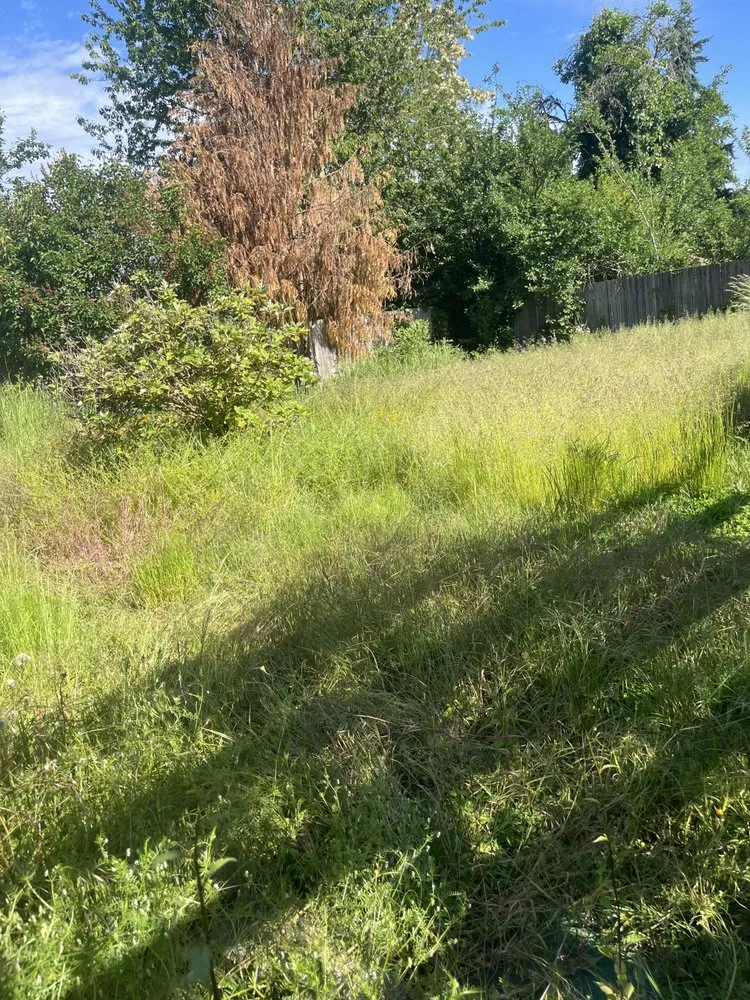 Custom lawn mowing service for homes across Kent, WA - Vegas Brothers Tree Services & Landscaping