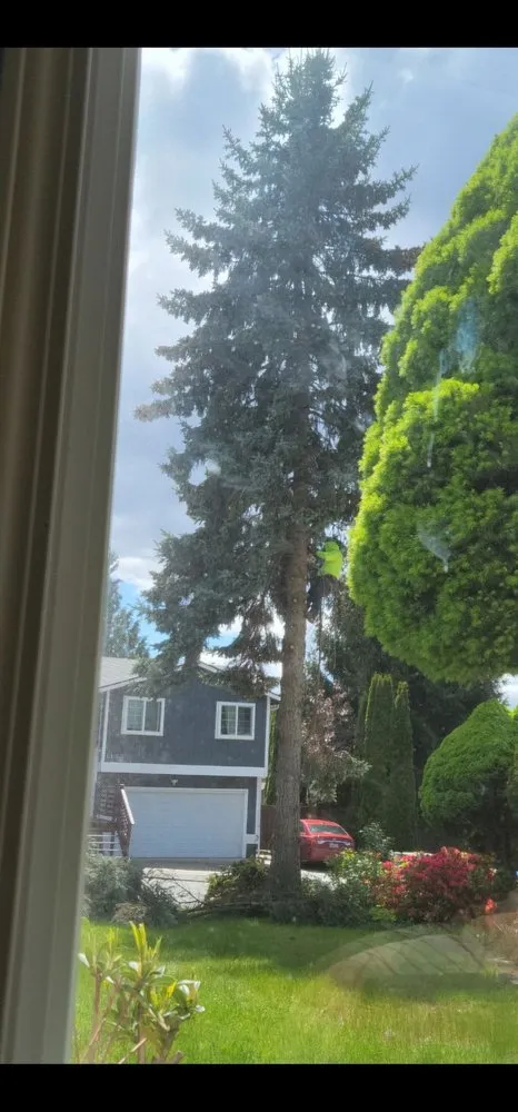 Top-rated landscape installation in Kent, WA by Vegas Brothers Tree Services & Landscaping