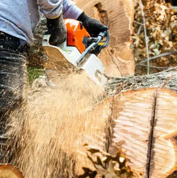 Custom landscape installation for outdoor upgrades in Kent, WA by Vegas Brothers Tree Services & Landscaping