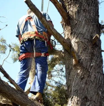 Affordable landscape installation near you across Kent, WA - Vegas Brothers Tree Services & Landscaping