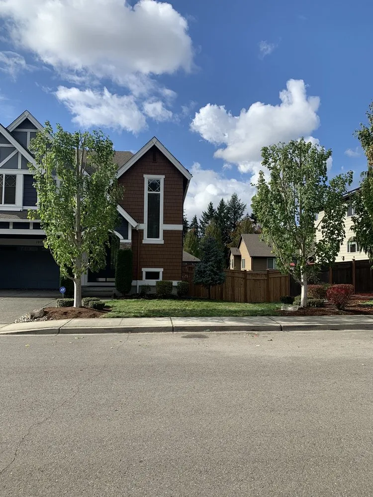 Reliable yard maintenance experts serving Kent, WA - Vegas Brothers Tree Services & Landscaping