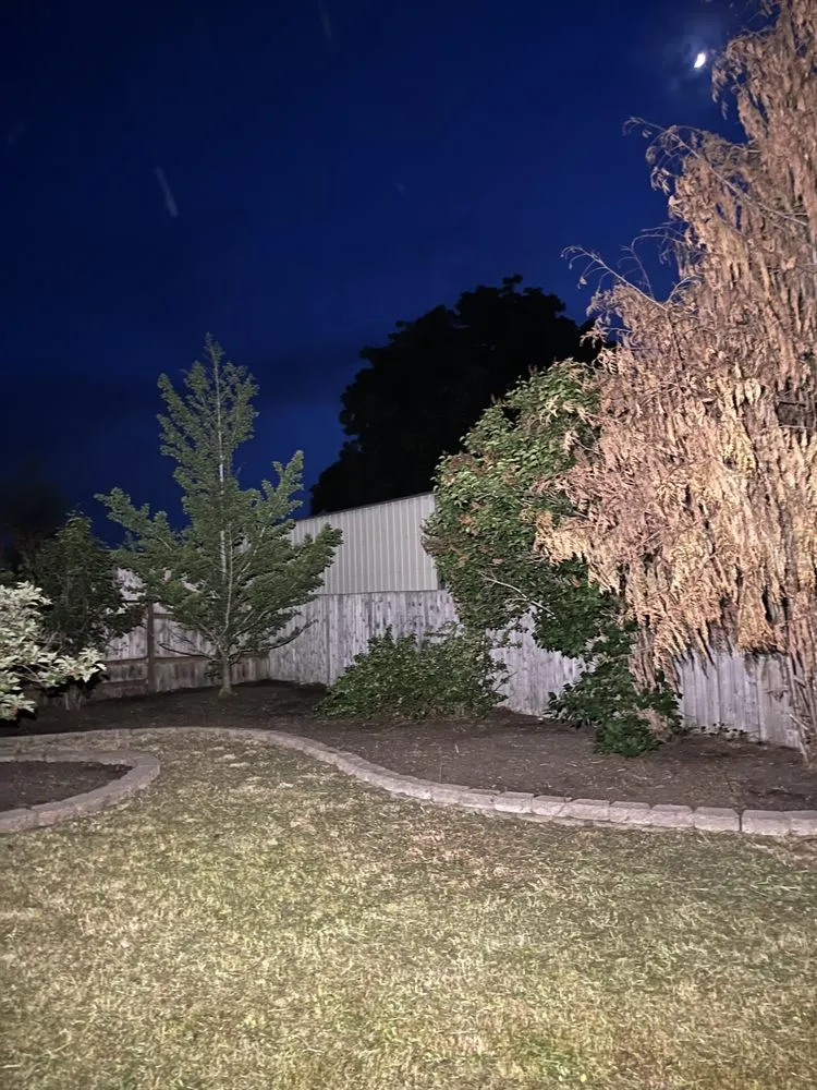 Custom lawn mowing service experts serving Kent, WA - Vegas Brothers Tree Services & Landscaping