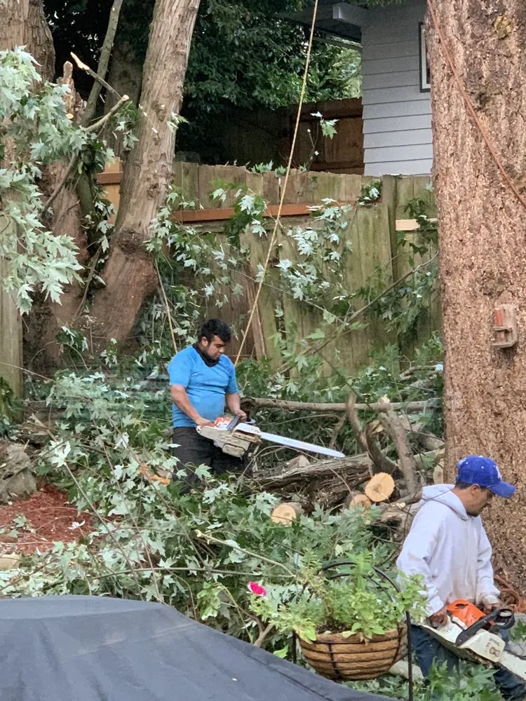 Top-rated outdoor landscaping in Kent, WA by Vegas Brothers Tree Services & Landscaping