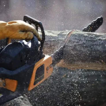 Local landscape design experts serving Kent, WA - Vegas Brothers Tree Services & Landscaping