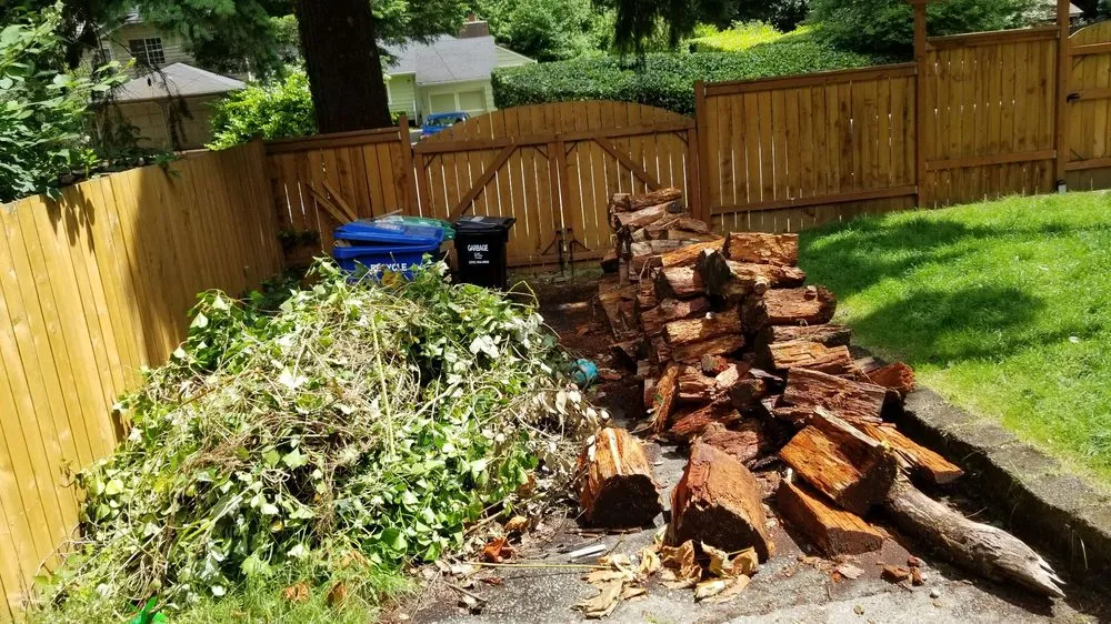 Expert yard cleanup service for residential properties across Kent, WA - Vegas Brothers Tree Services & Landscaping