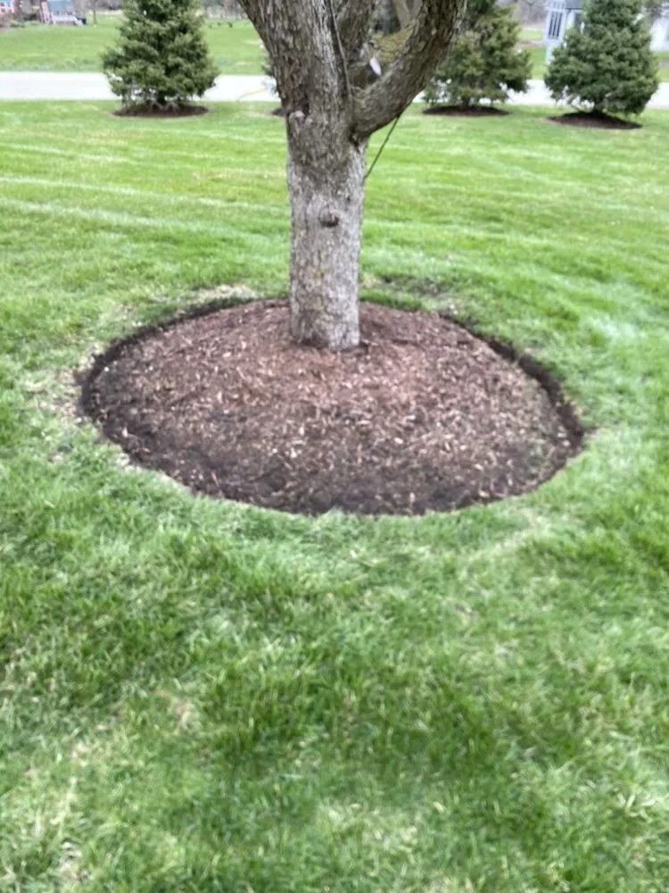 Professional lawn mowing service experts serving Aurora, IL - Vegas H Landscaping