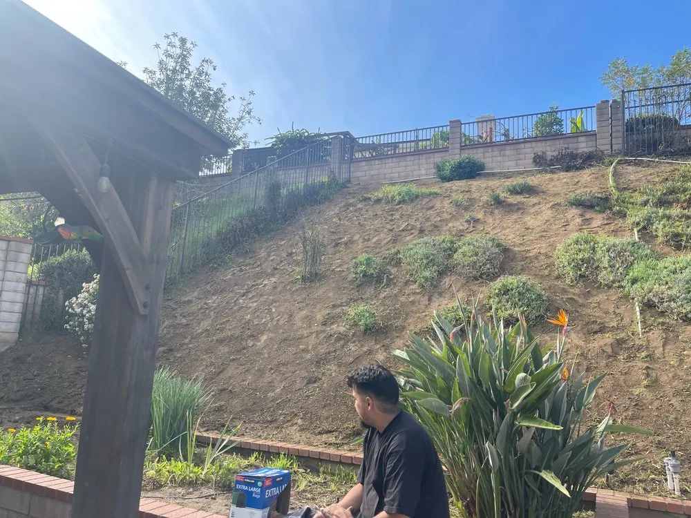 Professional landscaping services in Beaumont, CA by Vega’s landscaping and tree service