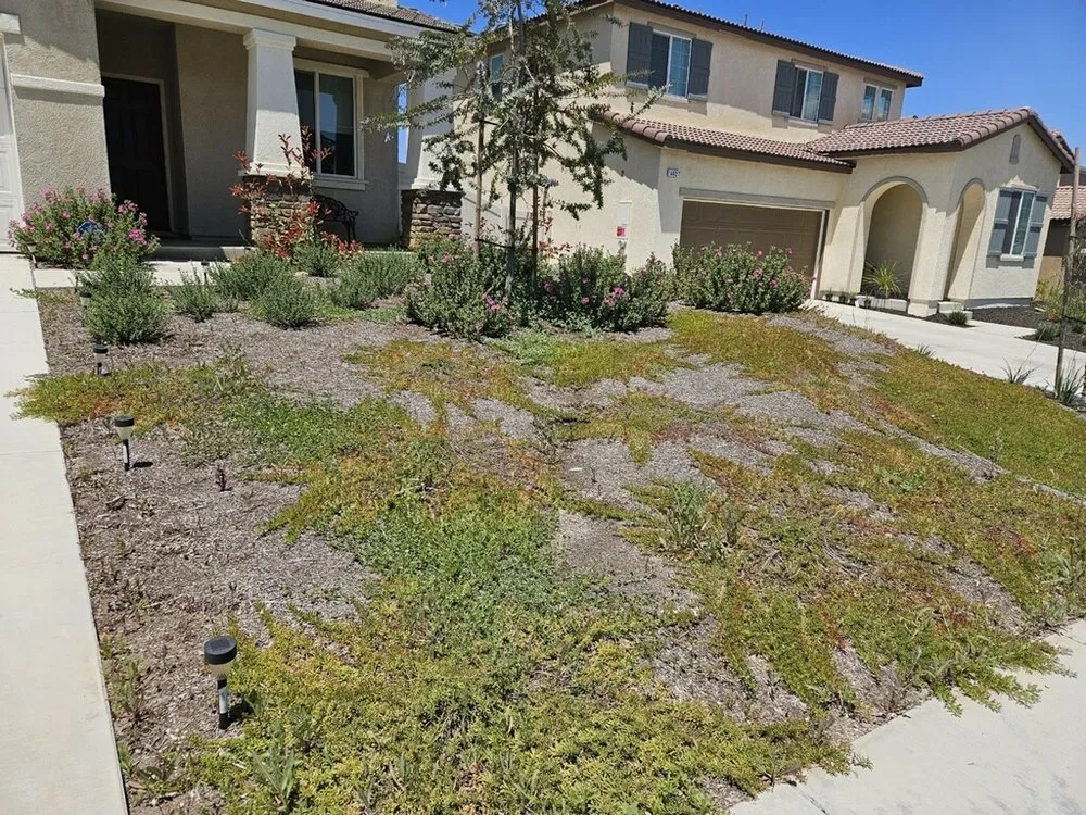 Affordable lawn care service experts serving Beaumont, CA - Vega’s landscaping and tree service