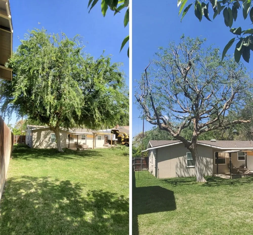 Trusted lawn mowing service in Beaumont, CA - Vega’s landscaping and tree service