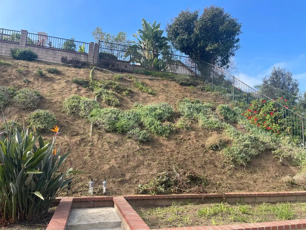 Affordable landscape design experts serving Beaumont, CA - Vega’s landscaping and tree service