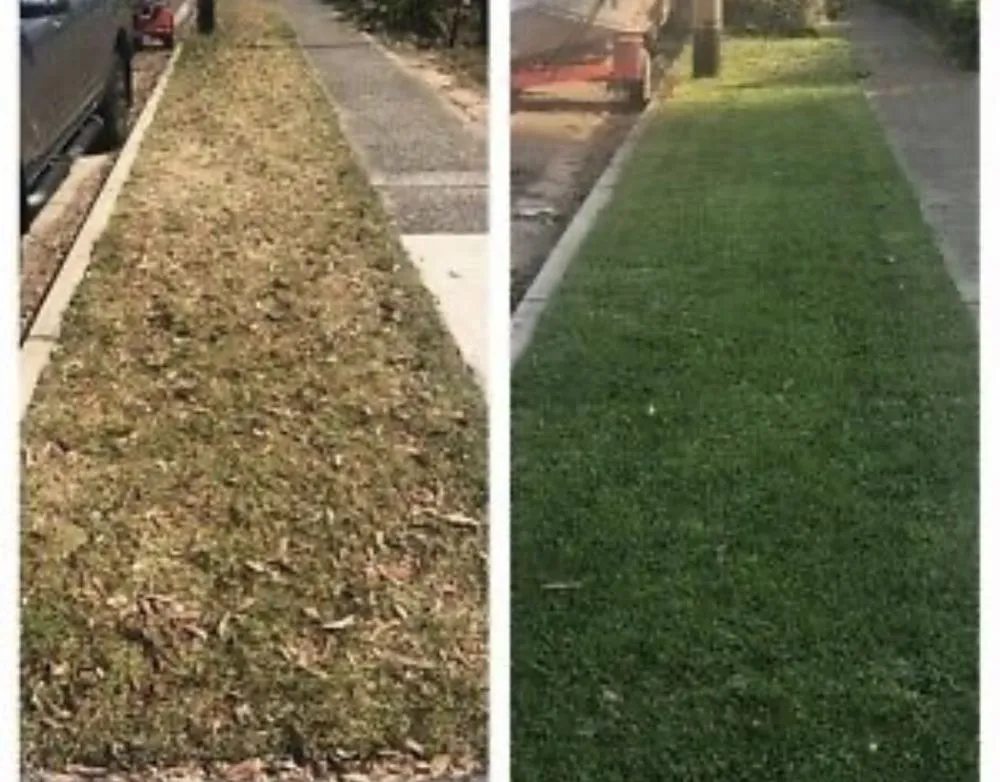 Reliable yard cleanup service in Beaumont, CA - Vega’s landscaping and tree service