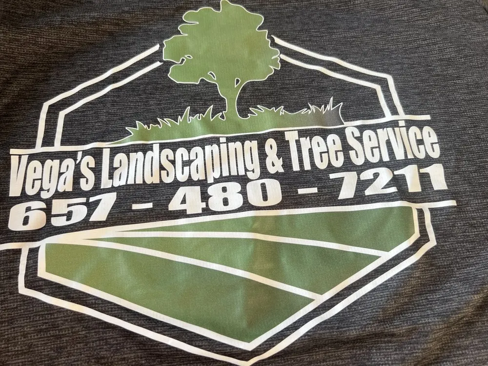 Top-rated yard maintenance experts serving Beaumont, CA - Vega’s landscaping and tree service