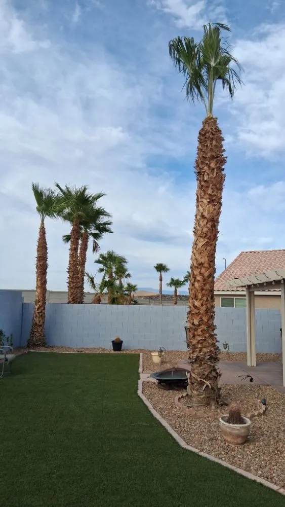 Affordable yard maintenance near you in Las Vegas, NV by Vegas Landscaping Services