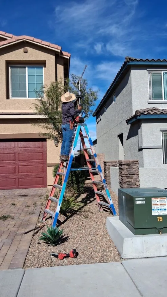 Custom landscaping services in Las Vegas, NV - Vegas Landscaping Services