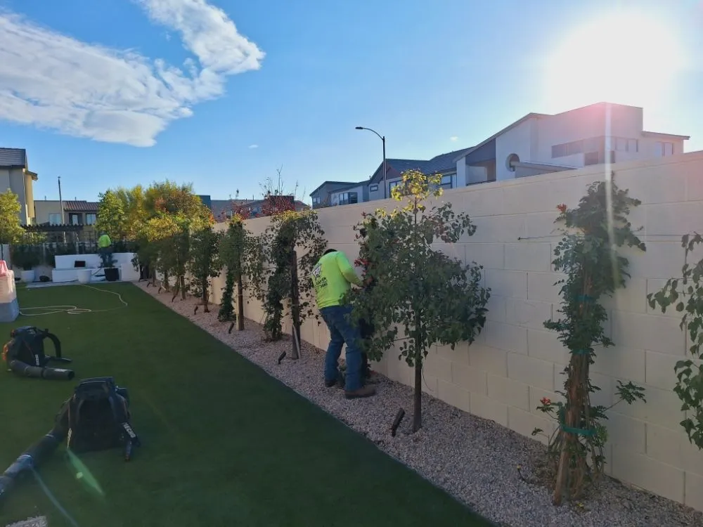Expert residential landscaping for beautiful yards in Las Vegas, NV by Vegas Landscaping Services