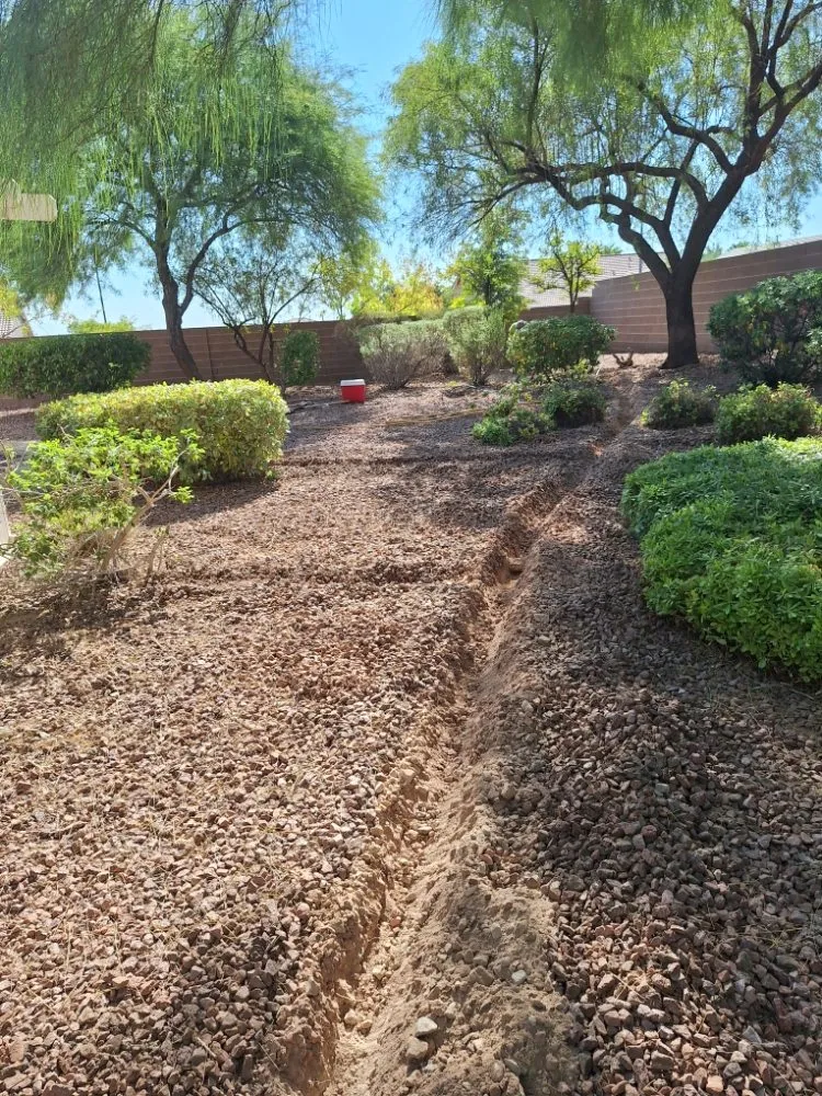 Custom yard maintenance for beautiful yards in Las Vegas, NV by Vegas Landscaping Services