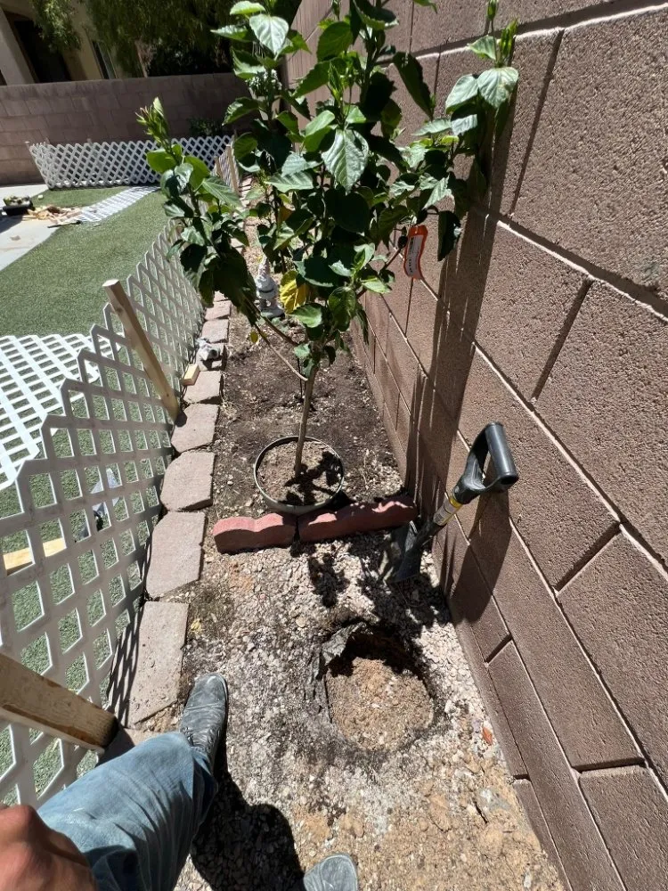 Expert garden landscaping in Las Vegas, NV - Vegas Landscaping Services