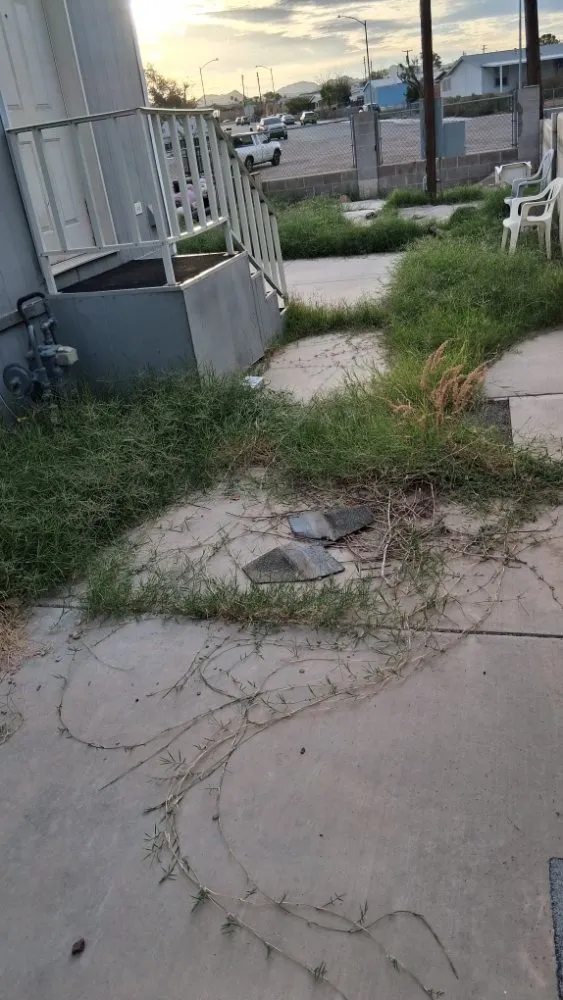 Professional yard cleanup service experts serving Las Vegas, NV - Vegas Landscaping Services