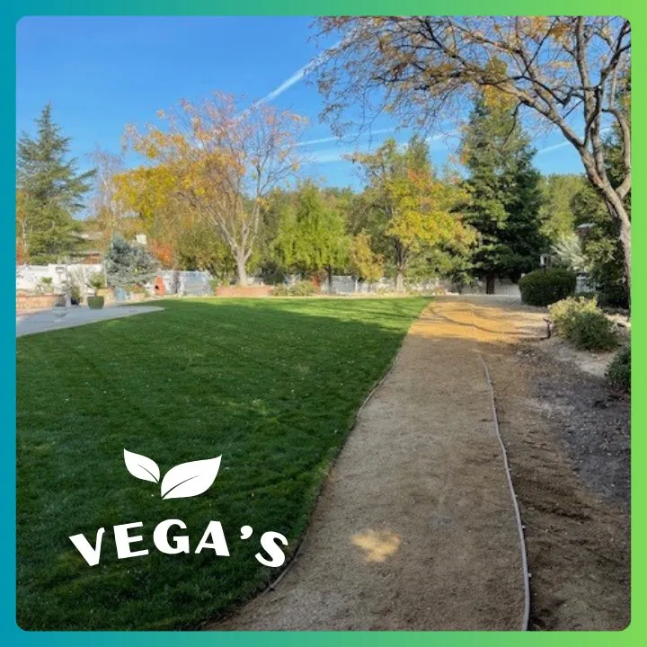 Affordable landscaping services experts serving Atascadero, CA - Vega’s Lawn & Garden Maintenance