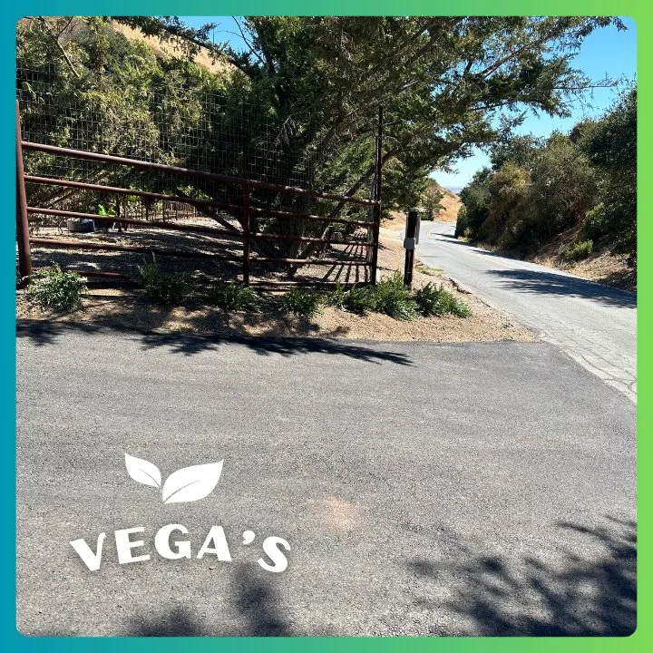 Affordable landscape installation for homes in Atascadero, CA by Vega’s Lawn & Garden Maintenance