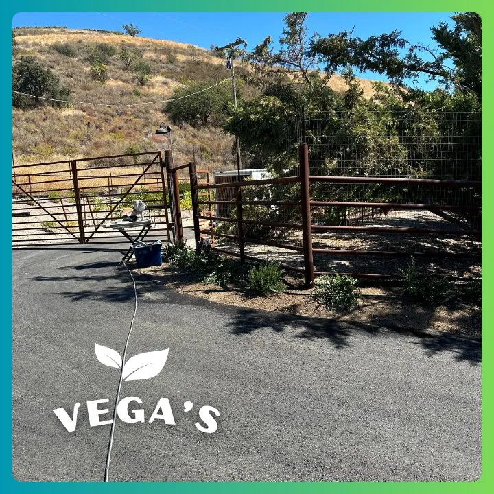 Expert yard maintenance with custom design in Atascadero, CA by Vega’s Lawn & Garden Maintenance