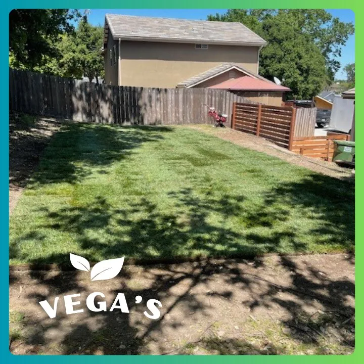 Trusted lawn mowing service for homes in Atascadero, CA by Vega’s Lawn & Garden Maintenance