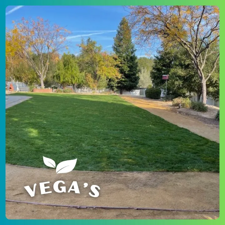 Affordable landscaping services in Atascadero, CA - Vega’s Lawn & Garden Maintenance
