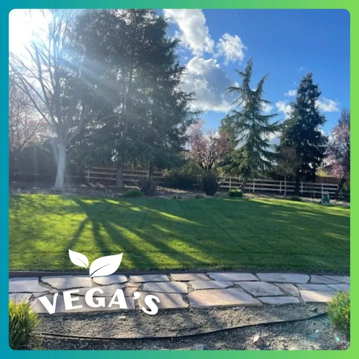 Professional landscaping services experts serving Atascadero, CA - Vega’s Lawn & Garden Maintenance