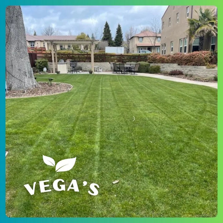 Reliable landscaping services in Atascadero, CA by Vega’s Lawn & Garden Maintenance