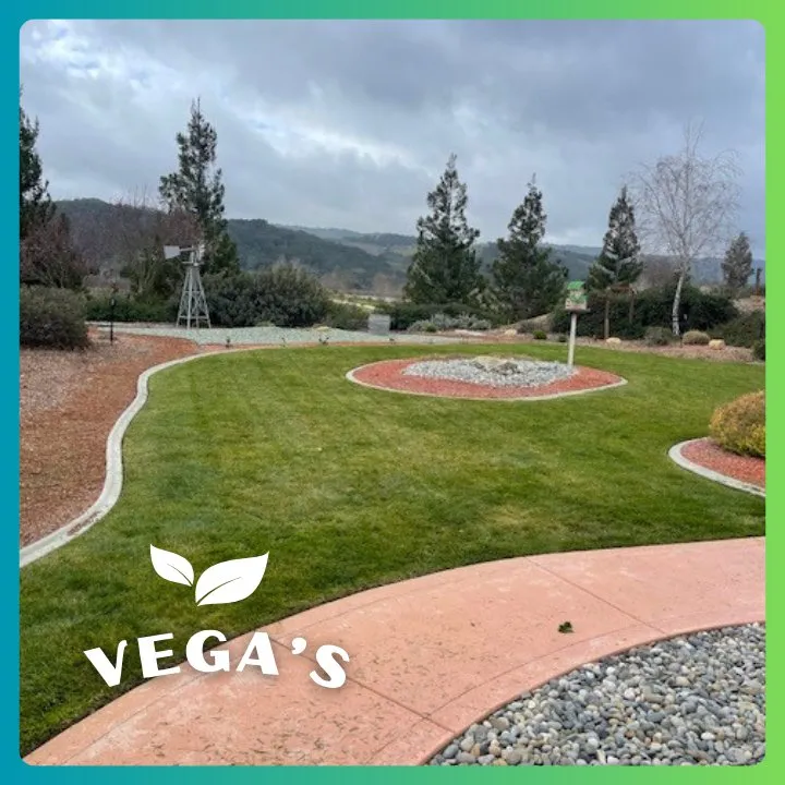 Local yard maintenance in Atascadero, CA - Vega’s Lawn & Garden Maintenance