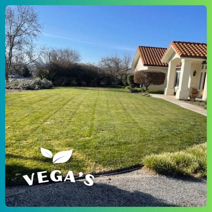 Local lawn care service for beautiful yards across Atascadero, CA - Vega’s Lawn & Garden Maintenance