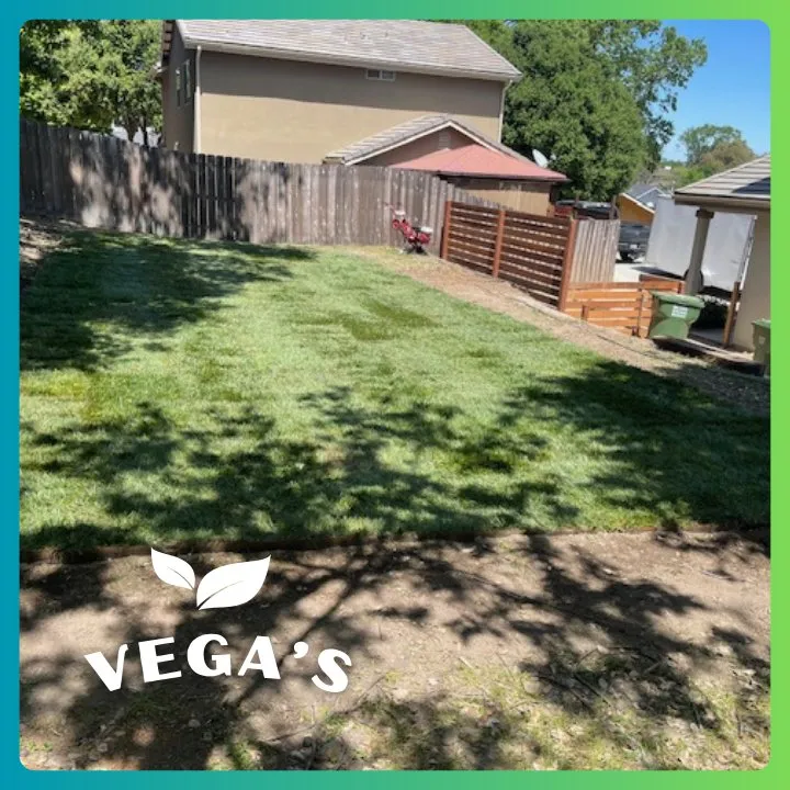 Expert lawn care service experts serving Atascadero, CA - Vega’s Lawn & Garden Maintenance