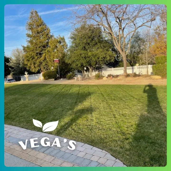 Local yard cleanup service in Atascadero, CA by Vega’s Lawn & Garden Maintenance