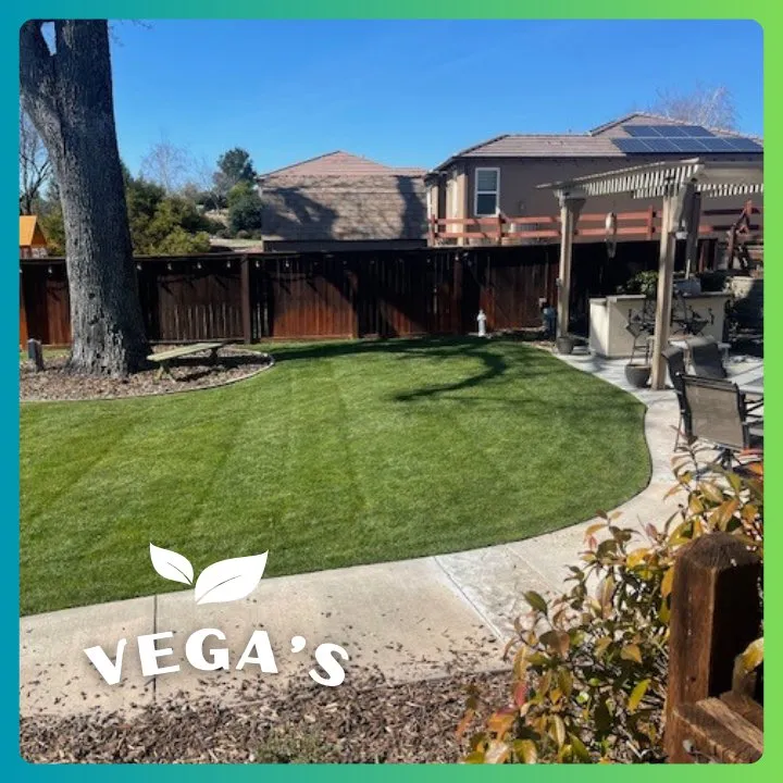 Local yard cleanup service for homes across Atascadero, CA - Vega’s Lawn & Garden Maintenance