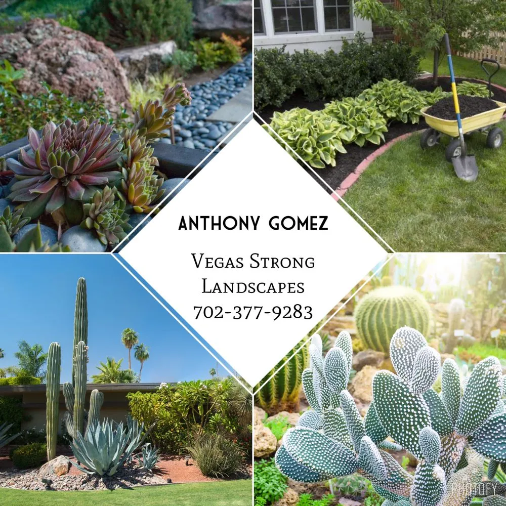 Trusted garden landscaping in Henderson, NV by Vegas Strong Landscapes