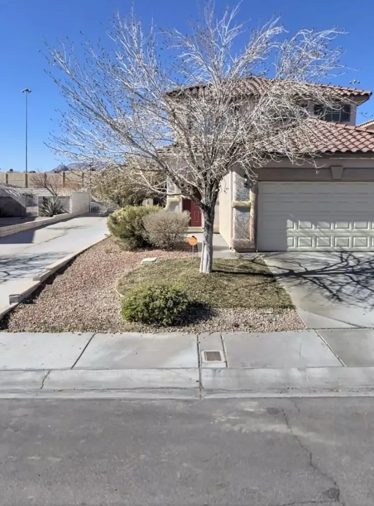 Professional garden landscaping in Henderson, NV by Vegas Strong Landscapes