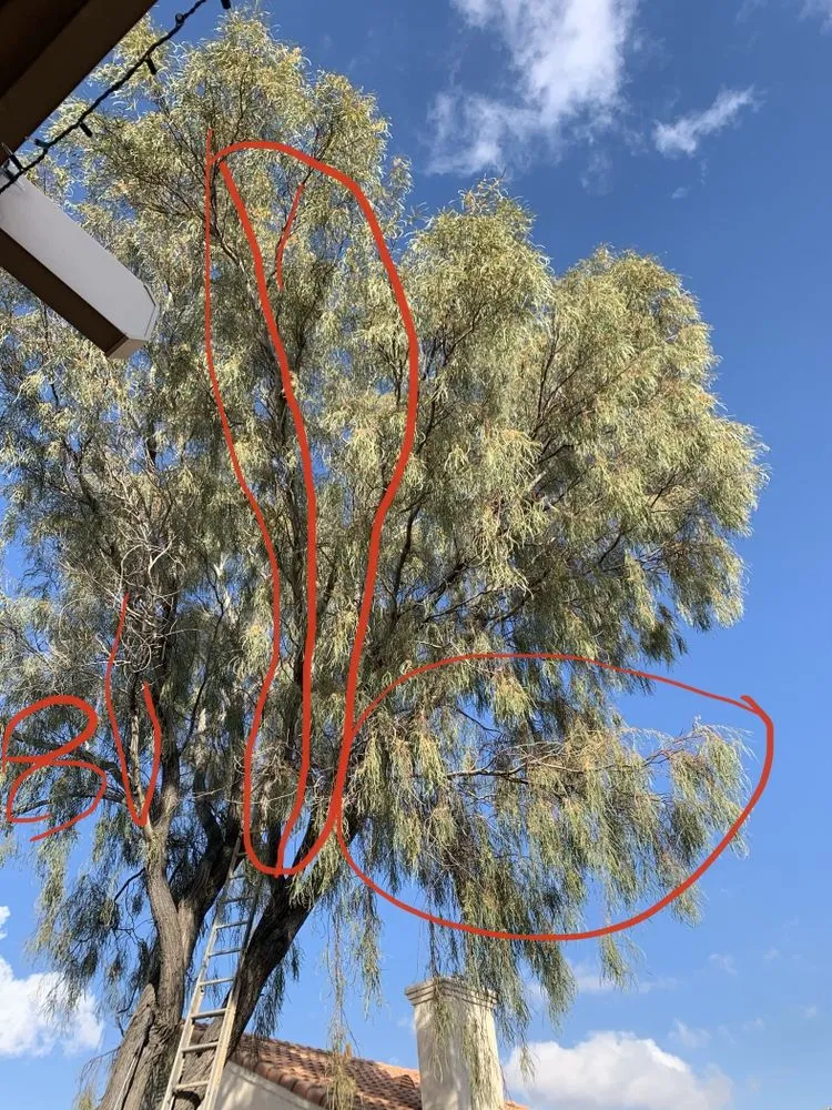 Custom garden landscaping in Henderson, NV - Vegas Strong Landscapes