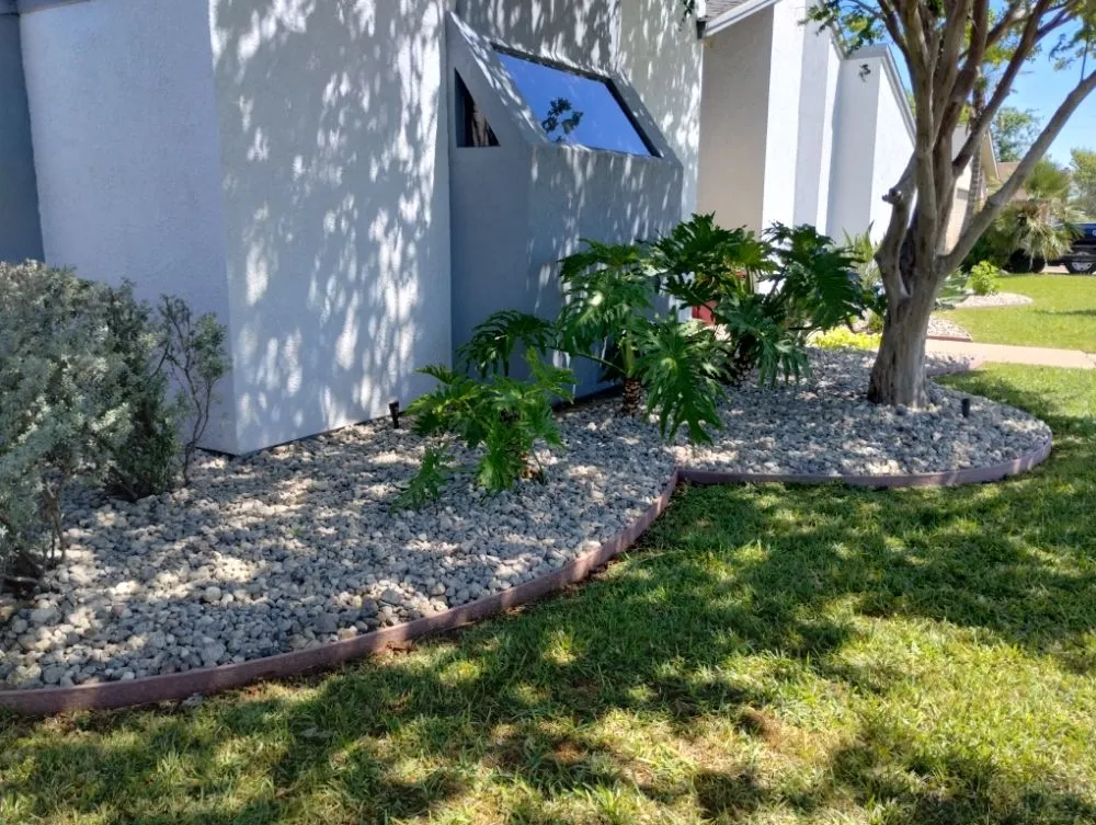 Affordable yard cleanup service near you in Corpus Christi, TX by Vega's Tree and Lawn Service