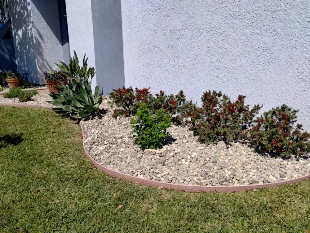 Trusted lawn mowing service in Corpus Christi, TX by Vega's Tree and Lawn Service