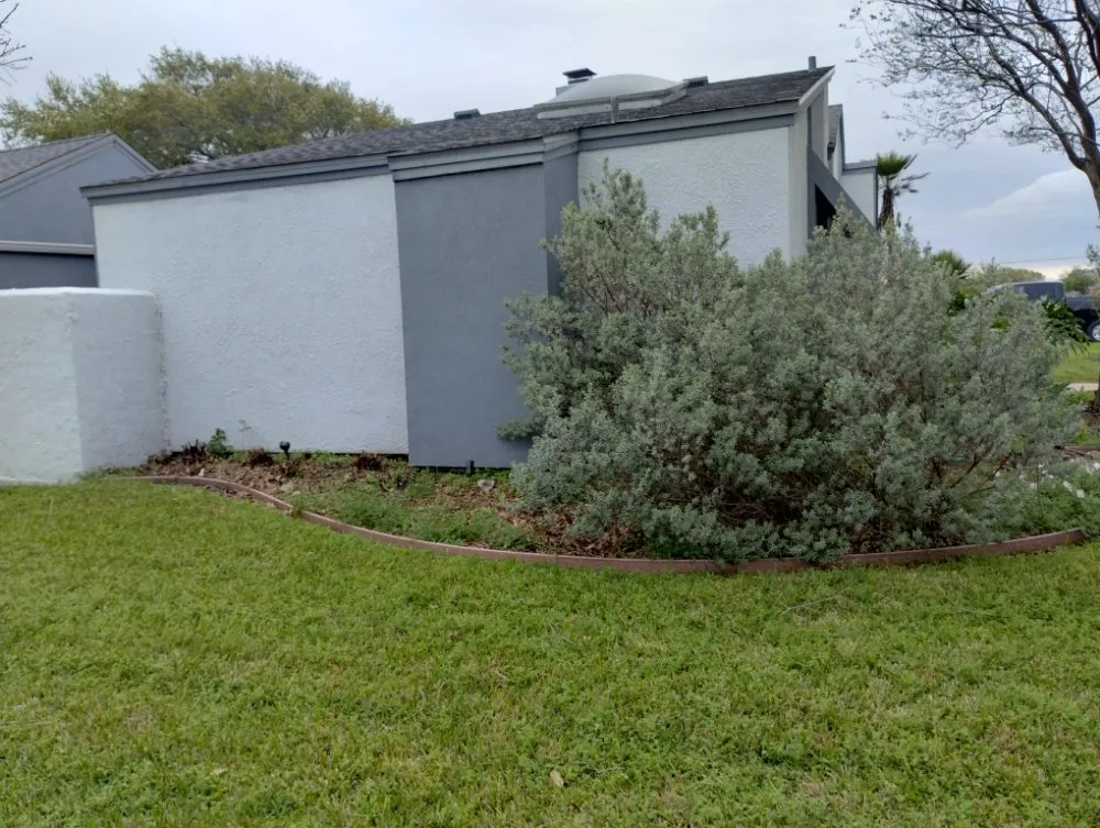 Top-rated yard maintenance in Corpus Christi, TX by Vega's Tree and Lawn Service