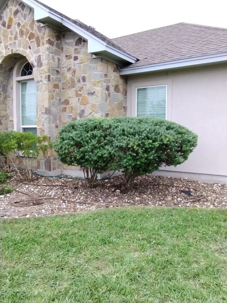 Trusted outdoor landscaping near you across Corpus Christi, TX - Vega's Tree and Lawn Service
