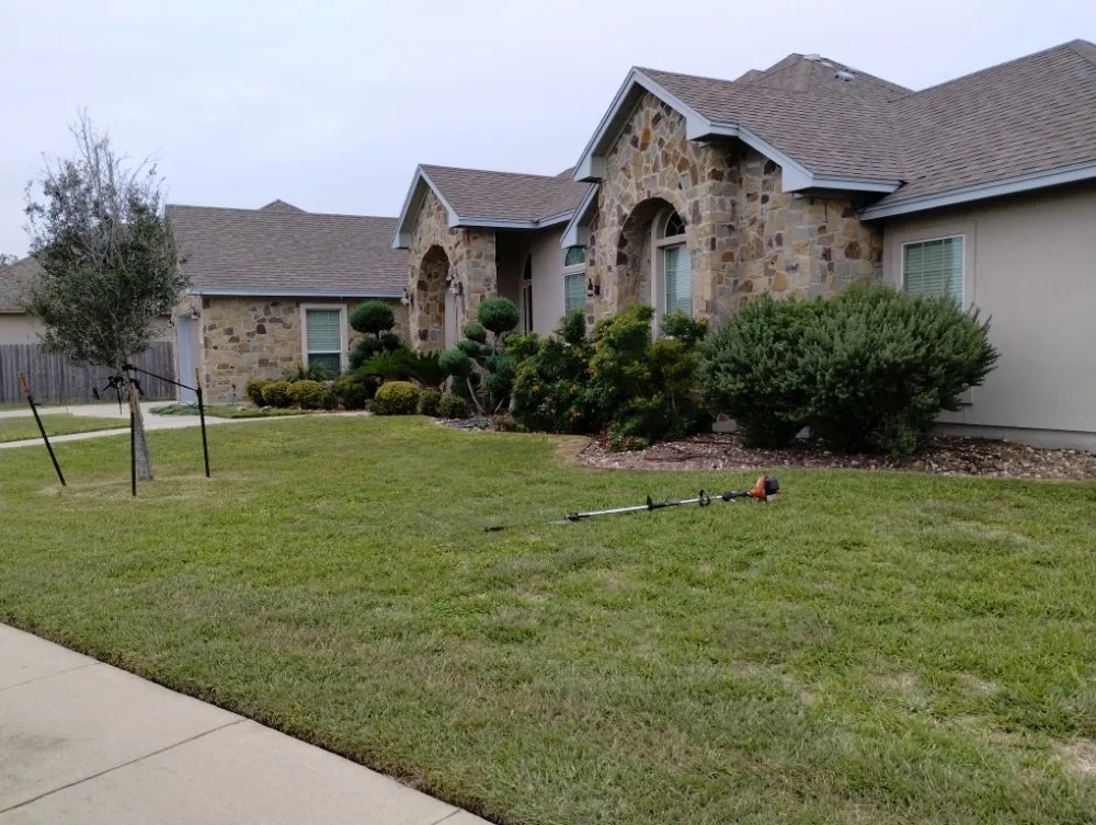 Expert outdoor landscaping with custom design in Corpus Christi, TX by Vega's Tree and Lawn Service
