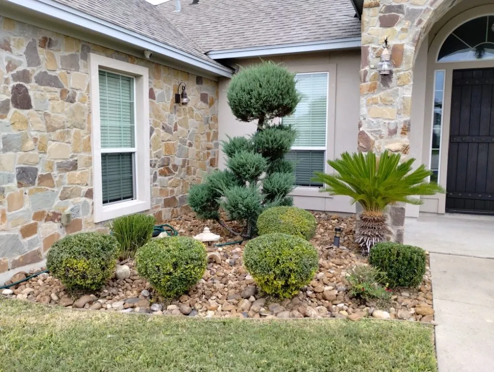 Affordable landscape design in Corpus Christi, TX by Vega's Tree and Lawn Service