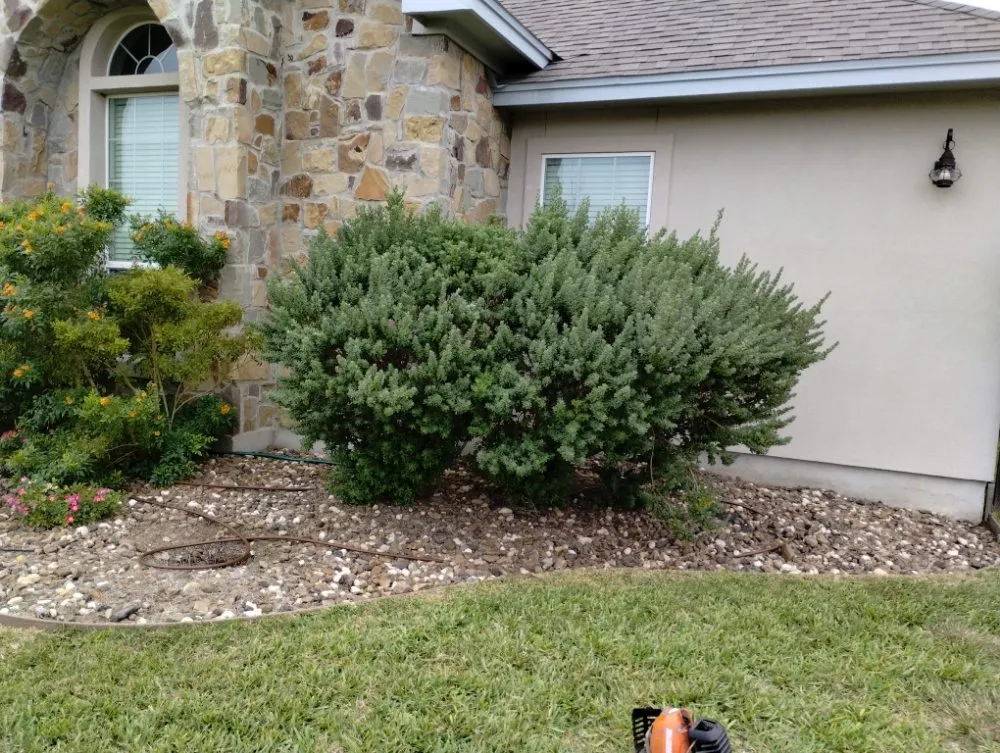 Trusted landscaping services for outdoor upgrades in Corpus Christi, TX by Vega's Tree and Lawn Service