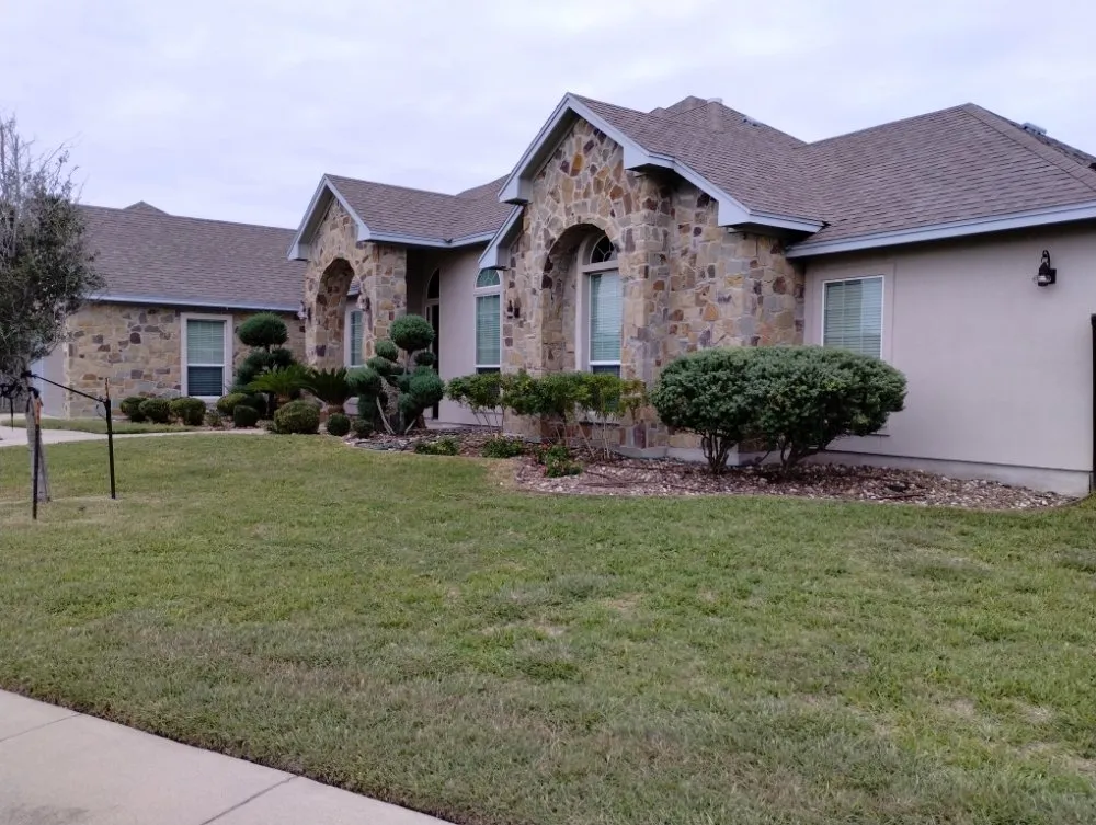 Reliable yard maintenance for year-round maintenance in Corpus Christi, TX by Vega's Tree and Lawn Service