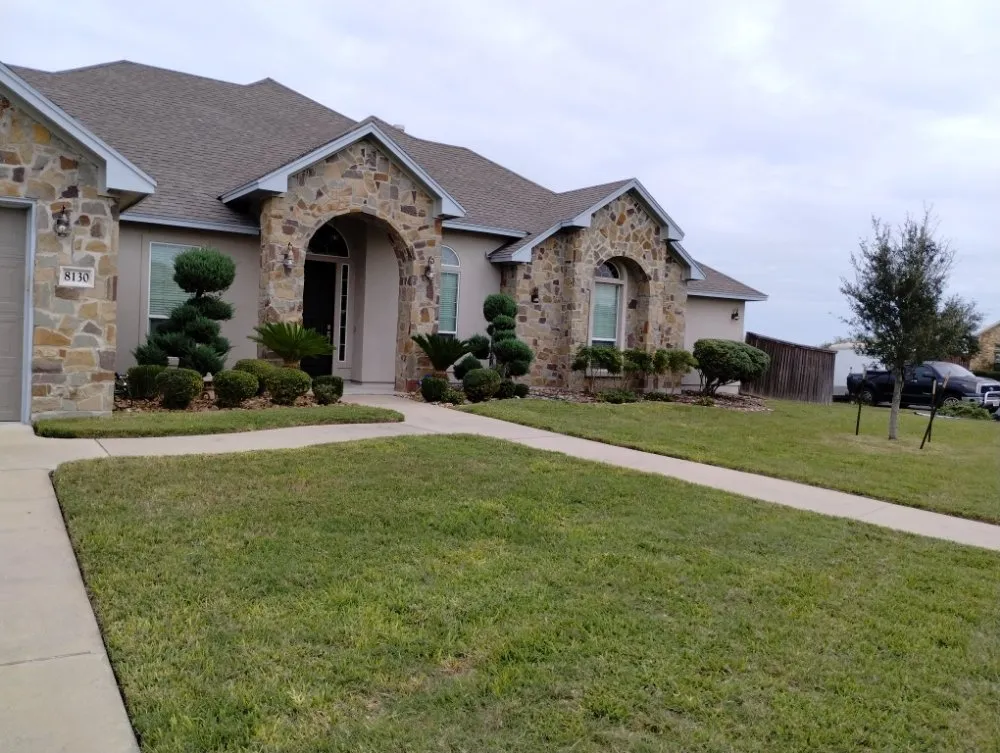 Local lawn care service experts serving Corpus Christi, TX - Vega's Tree and Lawn Service